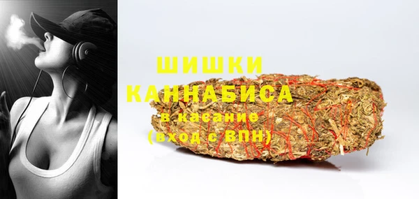 молекула духа Снежинск