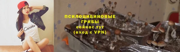 молекула духа Снежинск