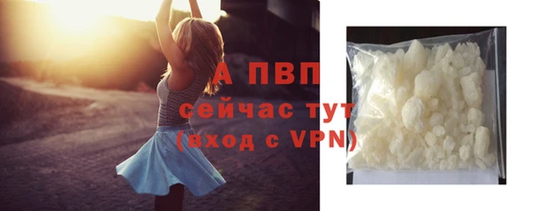 молекула духа Снежинск
