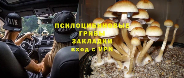 молекула духа Снежинск