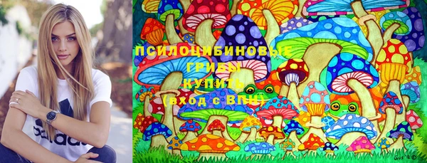 молекула духа Снежинск