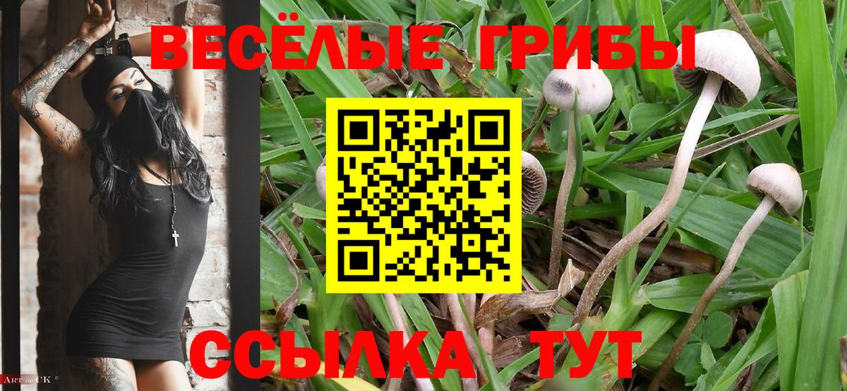 Галлюциногенные грибы мицелий Дзержинск