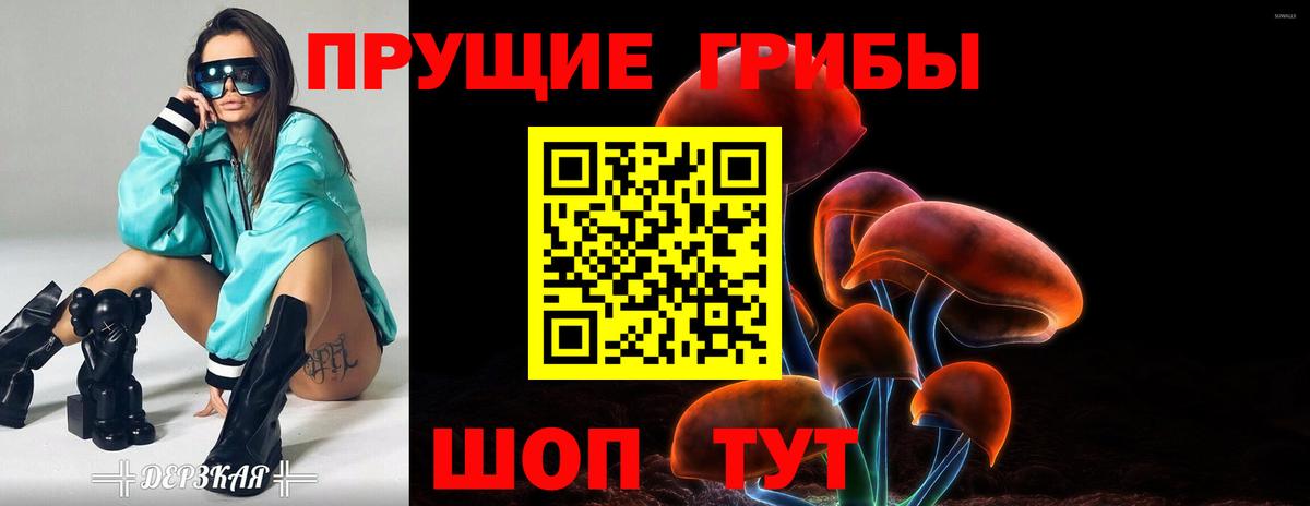 Псилоцибиновые грибы мухоморы  где продают   Дзержинск 